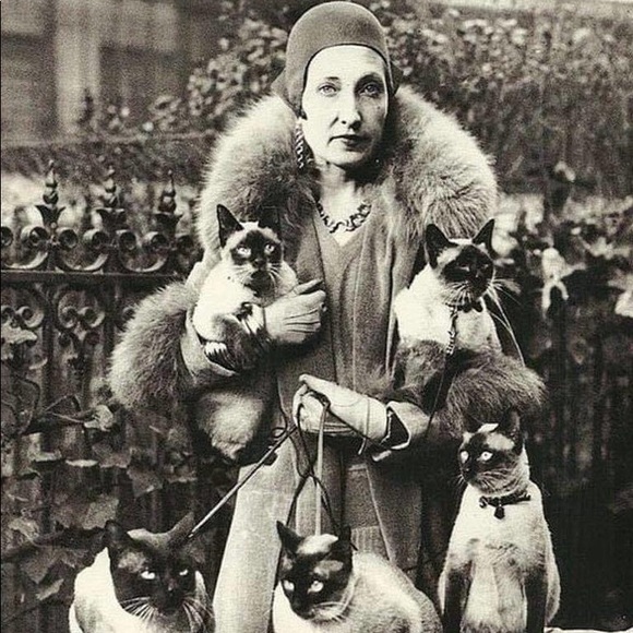 Meet your Posher, Brigit - Picture 1 of 1